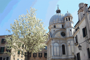 Primavera a Venezia