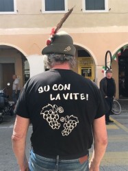 Come sarebbe un'adunata degli alpini a Venezia?