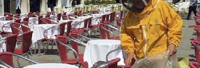 Emergenza api a San Marco