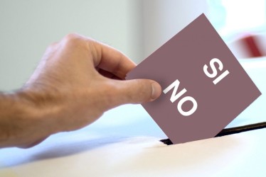 Oggi il referendum popolare contro le grandi navi