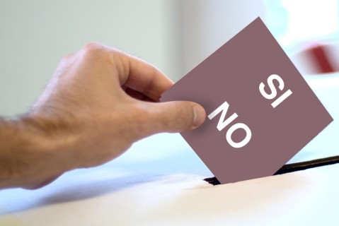 Oggi il referendum popolare contro le grandi navi