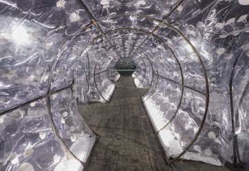 Dentro l'arte