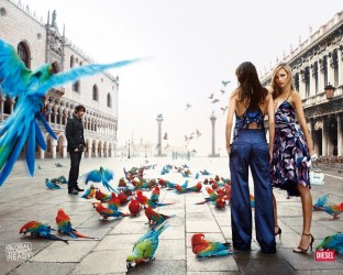Uccelli tropicali a Venezia