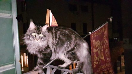 E viva le glorie del nostro Leon