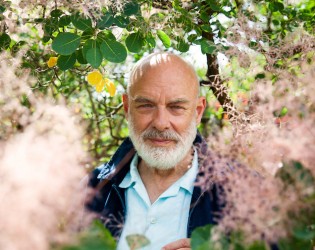 Brian Eno Leone d'oro alla carriera della Biennale Musica