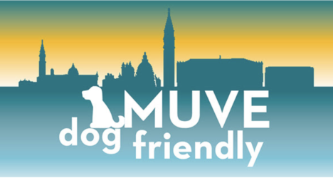 Al museo con il cane