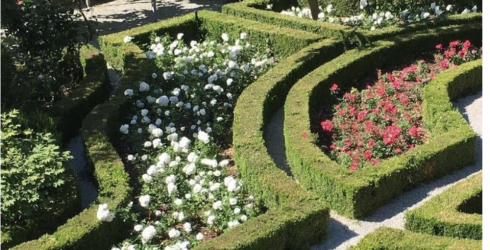 Festival dei giardini veneziani: visite il 6, 7, 8 ottobre