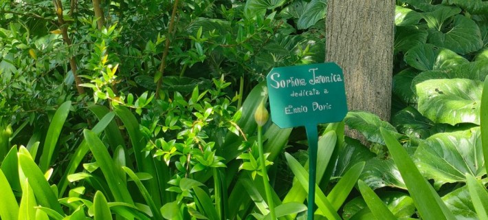 Un albero ai Giardini Reali dedicato a Ennio Doris