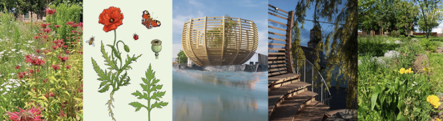 Passeggiando all'Arsenale, tra biodiversitĆ e impermanenza